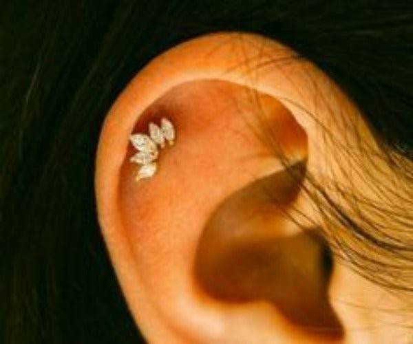 Royal Crystal Crown Cartilage Earring - Shop Style & More | Fresh Looks, Everyday Deals & Free Shipping