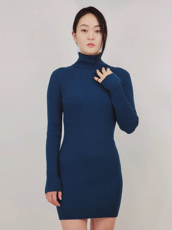 Ribbed Turtleneck Long Sleeve Slim Fit Mini Dress - Shop Style & More | Fresh Looks, Everyday Deals & Free Shipping