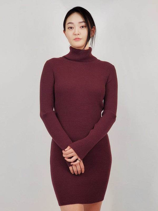 Ribbed Turtleneck Long Sleeve Slim Fit Mini Dress - Shop Style & More | Fresh Looks, Everyday Deals & Free Shipping