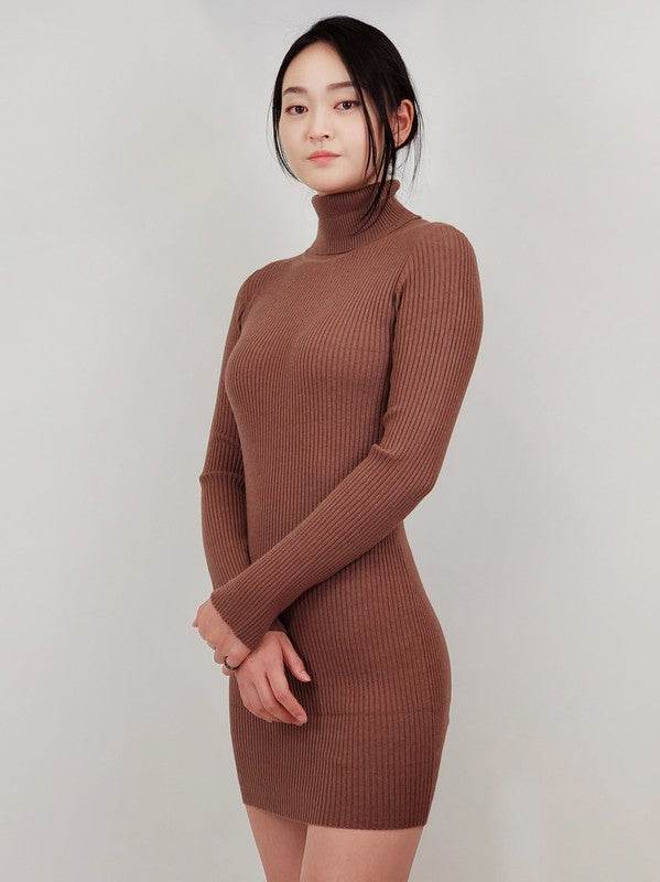 Ribbed Turtleneck Long Sleeve Slim Fit Mini Dress - Shop Style & More | Fresh Looks, Everyday Deals & Free Shipping