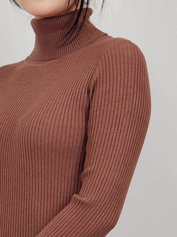 Ribbed Turtleneck Long Sleeve Slim Fit Mini Dress - Shop Style & More | Fresh Looks, Everyday Deals & Free Shipping