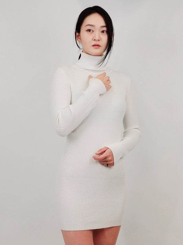 Ribbed Turtleneck Long Sleeve Slim Fit Mini Dress - Shop Style & More | Fresh Looks, Everyday Deals & Free Shipping