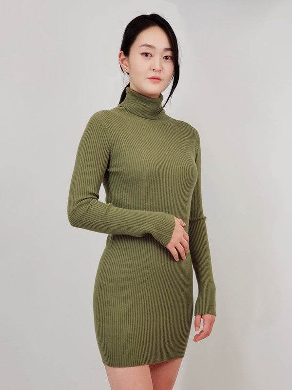 Ribbed Turtleneck Long Sleeve Slim Fit Mini Dress - Shop Style & More | Fresh Looks, Everyday Deals & Free Shipping