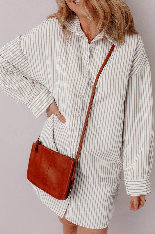 Stripe Long Sleeve Button Up Mini Shirt Dress - Shop Style & More | Fresh Looks, Everyday Deals & Free Shipping