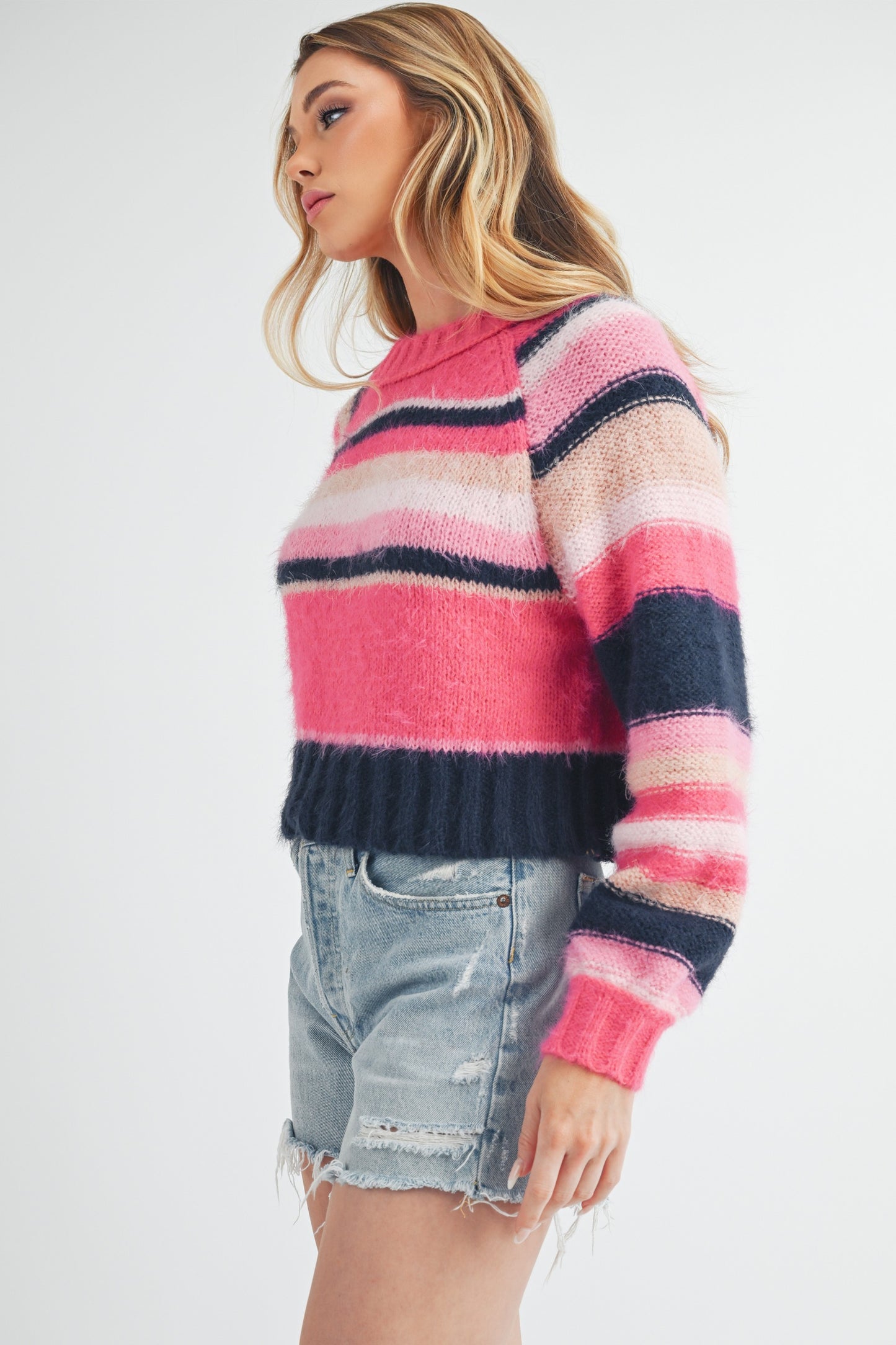 Aemi + Co Striped Ribbed Neckline Raglan Sleeve Sweater Hoodies & Sweaters