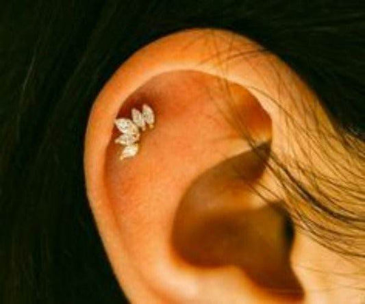 Royal Crystal Crown Cartilage Earring - Shop Style & More | Fresh Looks, Everyday Deals & Free Shipping